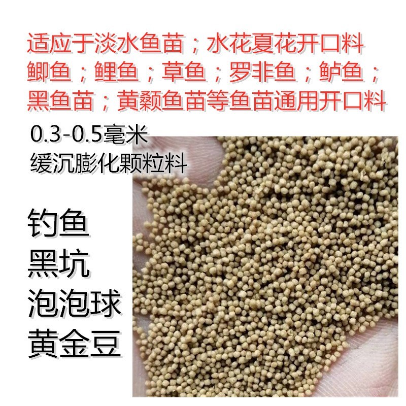定做魚缸要多久完工：定做魚缸完工時(shí)間取決于多個(gè)因素