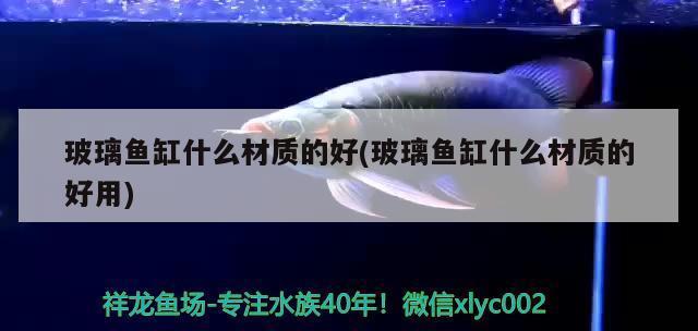 15厘米虎魚一天喂幾次：15厘米的虎魚一天喂幾次