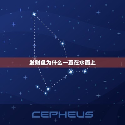 淡水石斑魚苗（淡水石斑魚苗批發(fā)）