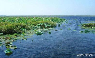 珠海魚缸定制廠家電話地址在哪里(珠海魚缸專賣店) 珠海魚缸定制廠家電話地址在哪里(珠海魚缸專賣店) 虎魚百科 第2張