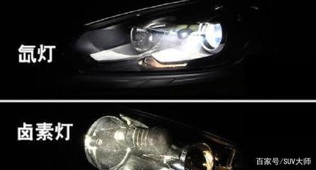 自家養豬鼻龜需要辦什么證(養豬鼻龜需要什么證件)