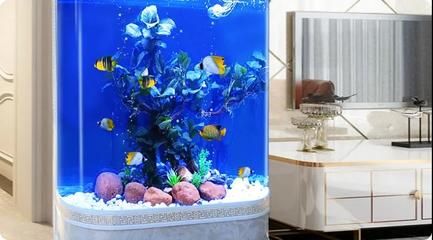 魚缸旺財的正確擺放位置（如何選擇適合的魚缸尺寸）