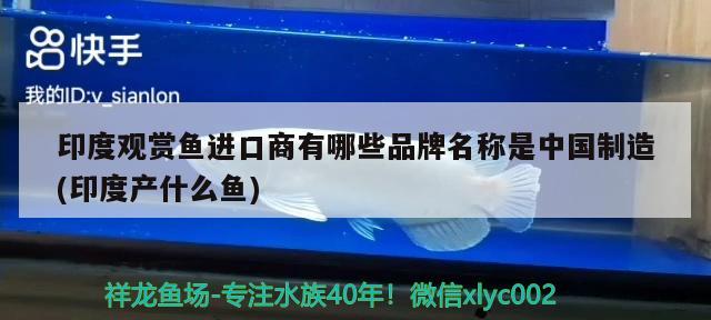 養龍魚用什么燈比較好呢(龍魚適合用什么燈) 養龍魚用什么燈比較好呢(龍魚適合用什么燈) 魟魚百科 第3張