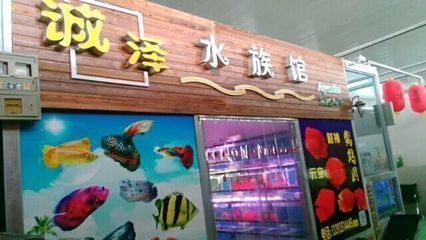 紅龍魚不開燈會(huì)影響發(fā)色嗎：紅龍魚不開燈會(huì)影響發(fā)色嗎？