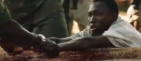 紅龍魚不開燈會(huì)影響發(fā)色嗎：紅龍魚不開燈會(huì)影響發(fā)色嗎？