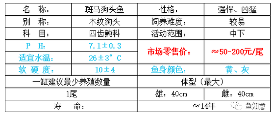 1.2米魚缸玻璃厚度多少合適：1.2米魚缸玻璃厚度多少合適魚缸玻璃厚度多少合適