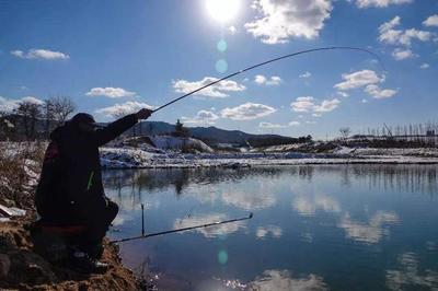 紅龍魚的最佳混養魚種：紅龍魚可以與多種魚類混養，但需要注意以下幾點，紅龍魚混養技巧