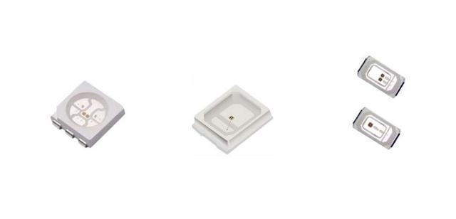 銀龍魚混養(yǎng)最佳搭配圖片大全欣賞視頻(銀龍魚混養(yǎng)怎么搭配)