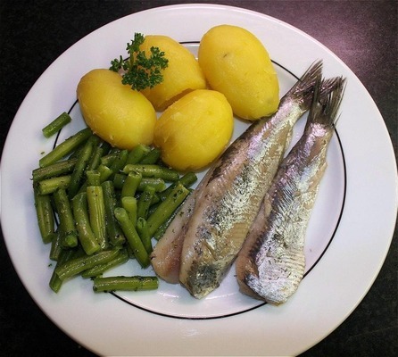 德國魚缸有什么品牌好用又實惠(德國進(jìn)口魚缸品牌大全)