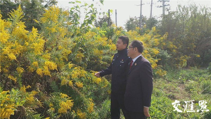 賣魚苗最大平臺鱷雀鱔，電商平臺曾一度成為鱷雀鱔魚苗主要銷售渠道