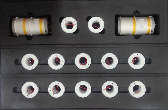 銀龍魚掉了一個鱗片還能長嗎(銀龍魚掉了一個鱗片還能長嗎)