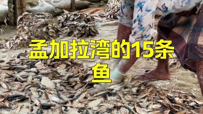 孟加拉灣十大必吃魚，今天吃什么孟加拉灣