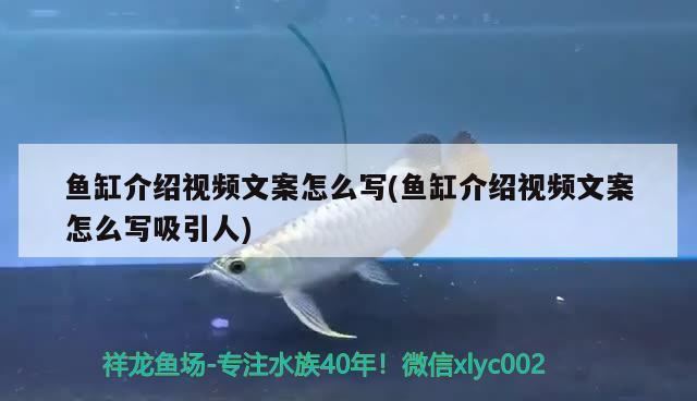 菏澤市牡丹區龍源水族