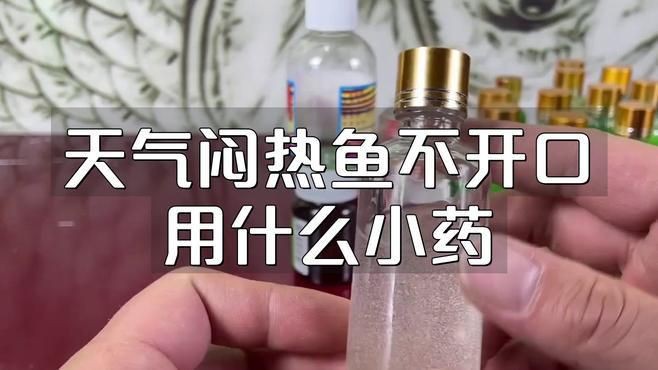 有哪些藥物可以幫助恢復(fù)魚(yú)的食欲？，魚(yú)不開(kāi)口用什么小藥饞啥小藥饞啥小藥饞啥小藥饞啥攻略
