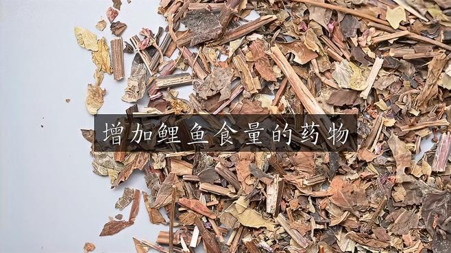 有哪些藥物可以幫助恢復(fù)魚(yú)的食欲？，魚(yú)不開(kāi)口用什么小藥饞啥小藥饞啥小藥饞啥小藥饞啥攻略