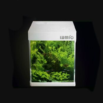 of魚缸什么牌子：魚缸品牌哪個牌子好