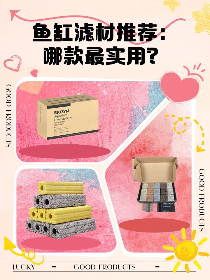 濾材最好的三個品牌，桃子有趣的lifestyle魚缸濾材品牌十大排名林曄