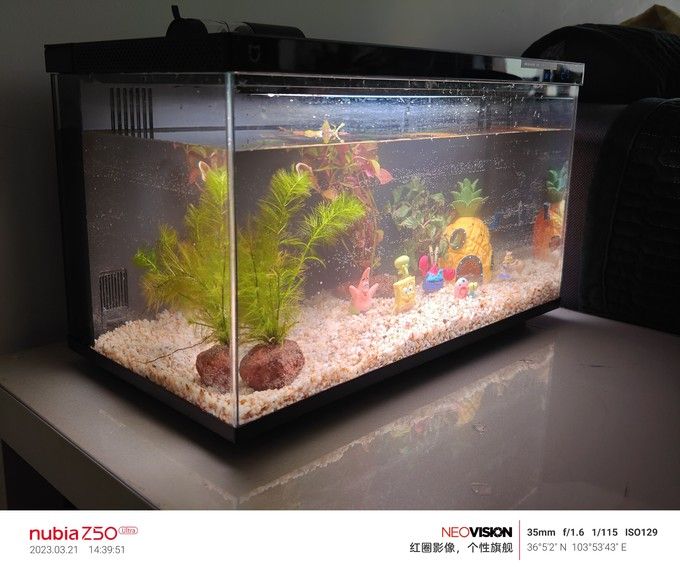 NEO魚缸搖空器怎么用：neo魚缸遙控器使用方法