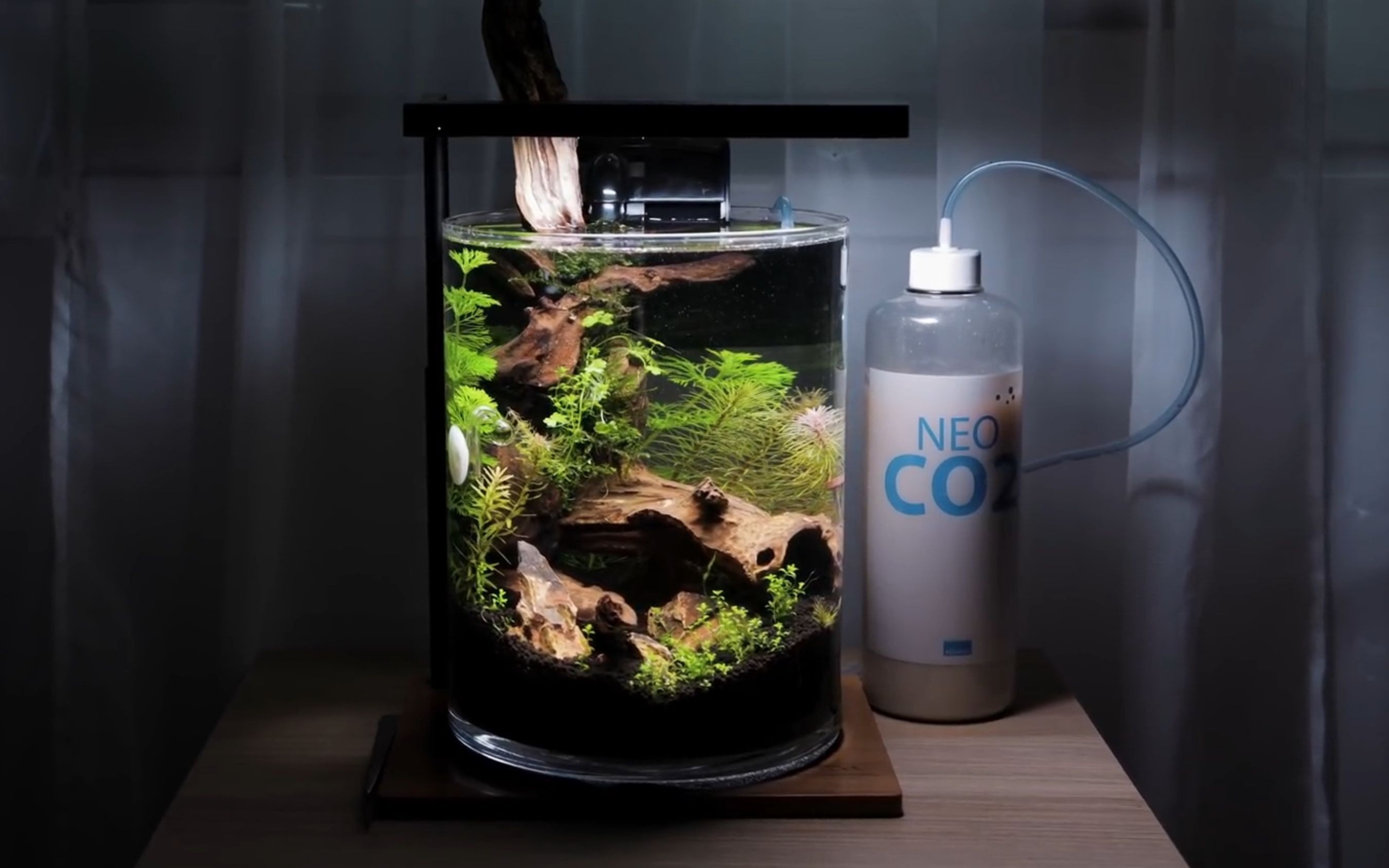 NEO魚缸搖空器怎么用：neo魚缸遙控器使用方法