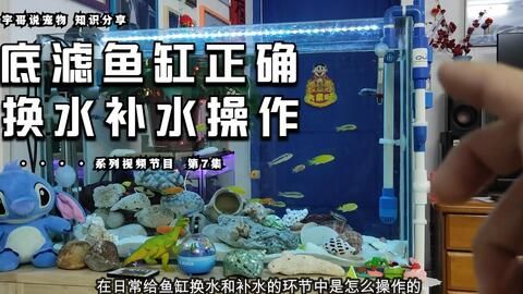 大魚缸漏水怎么補水視頻：大魚缸漏水怎么補水怎么補水？