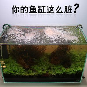大型魚缸除藻最佳方法是什么：大型魚缸如何除藻
