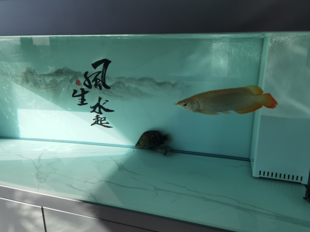 應該又胖了