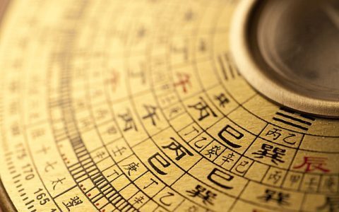 銀龍魚搭配什么魚養(yǎng)好(銀龍搭配什么魚養(yǎng)最好呢) 銀龍魚搭配什么魚養(yǎng)好(銀龍搭配什么魚養(yǎng)最好呢) 銀龍魚百科 第1張