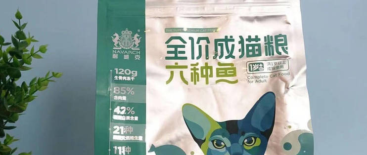 龍魚得病死了有什么預(yù)兆嗎