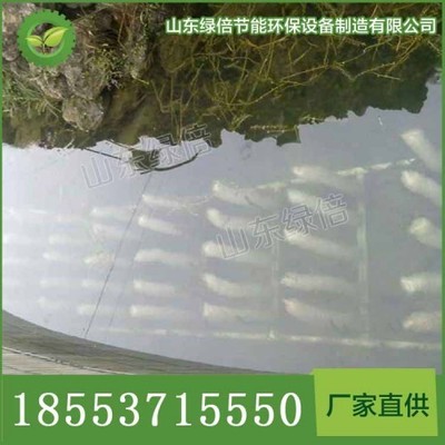 虎魚能和金龍魚一起養嗎圖片欣賞大全(龍魚和虎魚一起養好嗎)