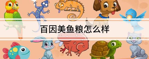 金龍魚主要喂什么食物