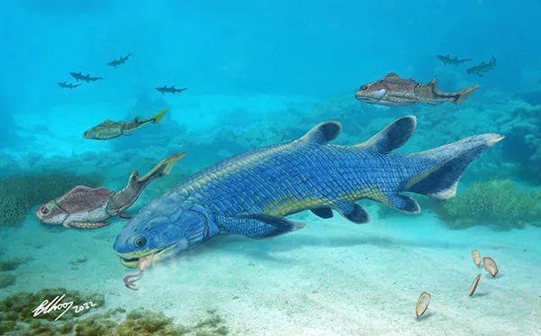 老虎魚又叫什么魚(老虎魚是什么魚種)