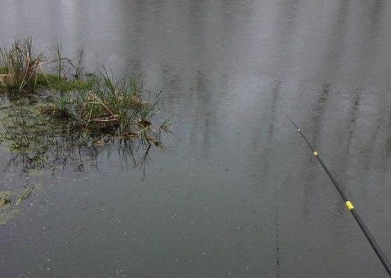 銀龍魚鱗片爛了怎么辦視頻講解(銀龍魚鱗片爛了怎么辦視頻講解圖片)