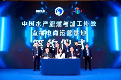 豬鼻龜買不到可以用什么龜代替(豬鼻龜不用過濾可以嗎)