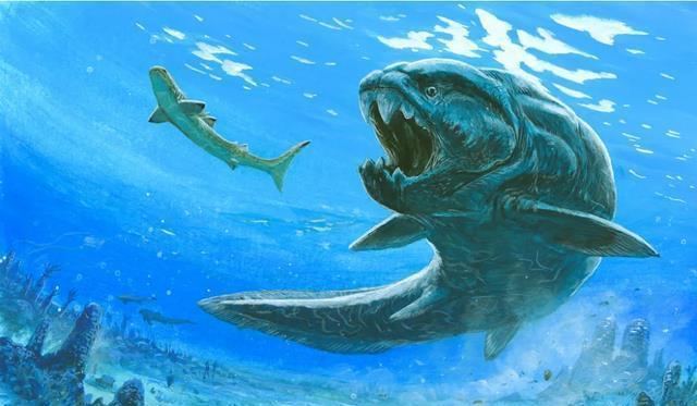 玻璃魚缸和亞克力魚缸哪個好：亞克力魚缸和亞克力魚缸選購時需要考慮多個因素