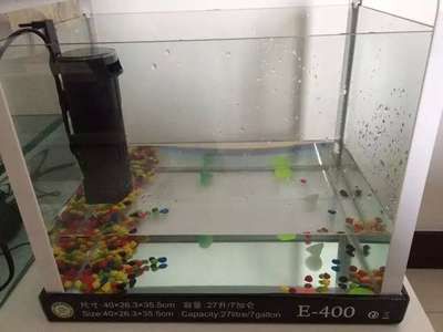 玻璃魚缸的水漬怎么去除：如何去除魚缸水漬？