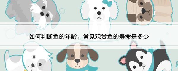 龍魚吃小魚嘛會死嗎