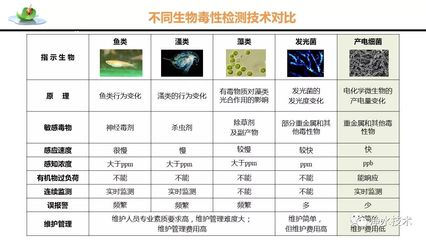 中國有豬鼻龜嗎視頻(豬鼻龜的視頻)