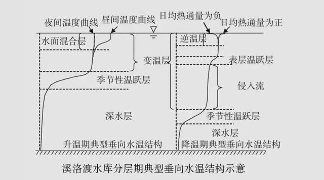 豬鼻龜適應(yīng)多少度的水溫(豬鼻龜最佳水溫)