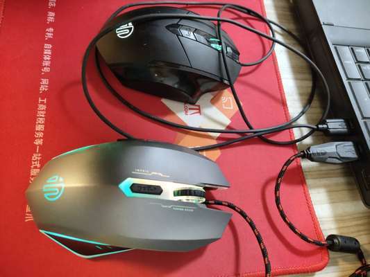 如何辦理養豬鼻龜的手續和證件(如何辦理豬鼻龜特種養殖證)