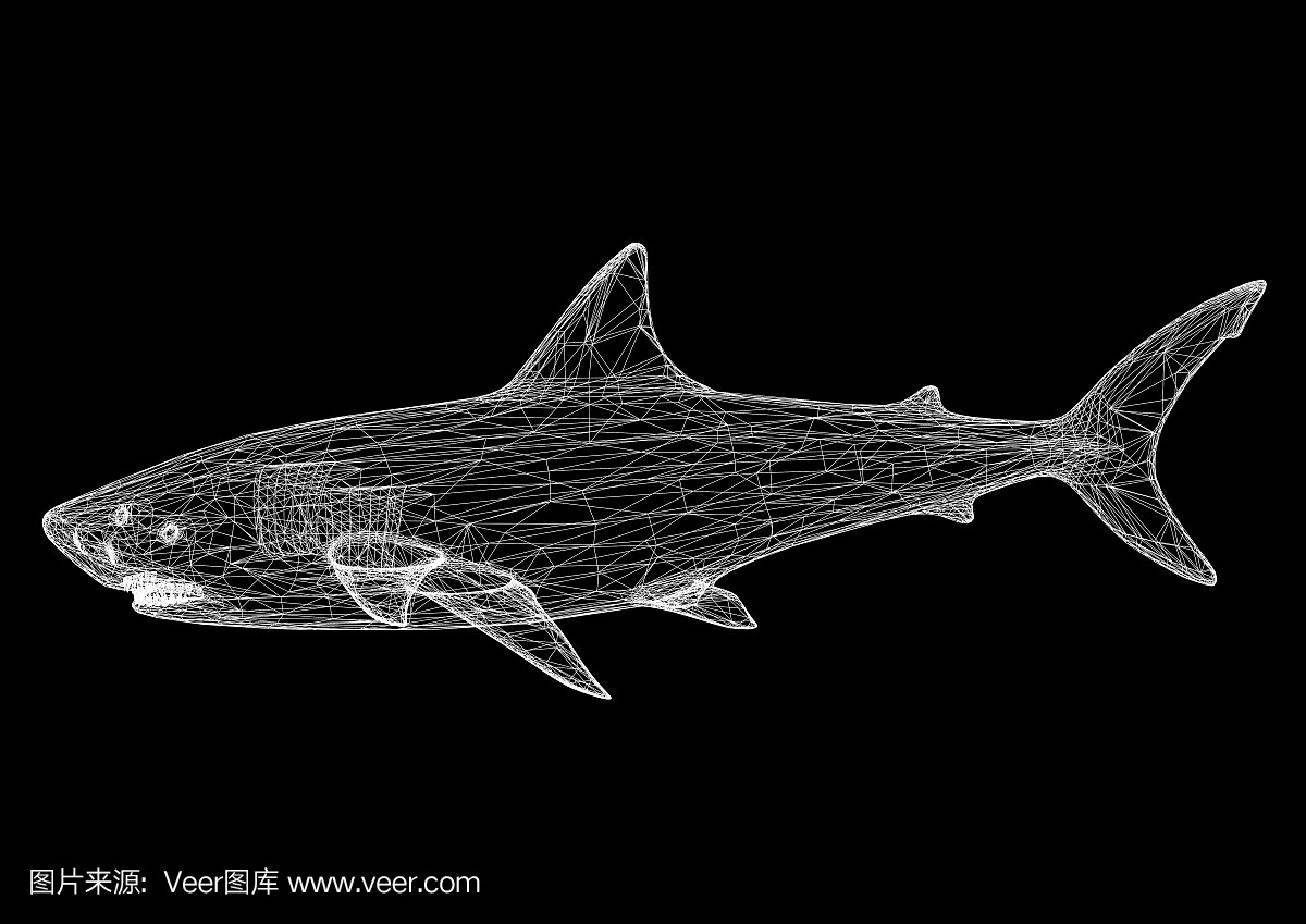 虎魚變明的最好方法(虎魚變明的最好方法視頻) 虎魚百科 第2張 虎魚變明的最好方法(虎魚變明的最好方法視頻) 虎魚變明的最好方法(虎魚變明的最好方法視頻) 虎魚百科 第2張