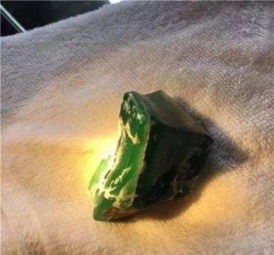 豬鼻龜是兩棲動物嗎為什么(豬鼻龜屬于什么動物) 豬鼻龜百科 第1張 豬鼻龜是兩棲動物嗎為什么(豬鼻龜屬于什么動物) 豬鼻龜是兩棲動物嗎為什么(豬鼻龜屬于什么動物) 豬鼻龜百科 第1張