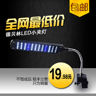 豬鼻龜年齡判斷圖解(豬鼻龜長多大就成年了)