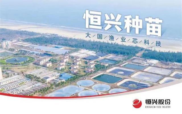 泰國虎魚和印尼虎魚的區別(泰國虎魚和印尼虎魚哪個貴)