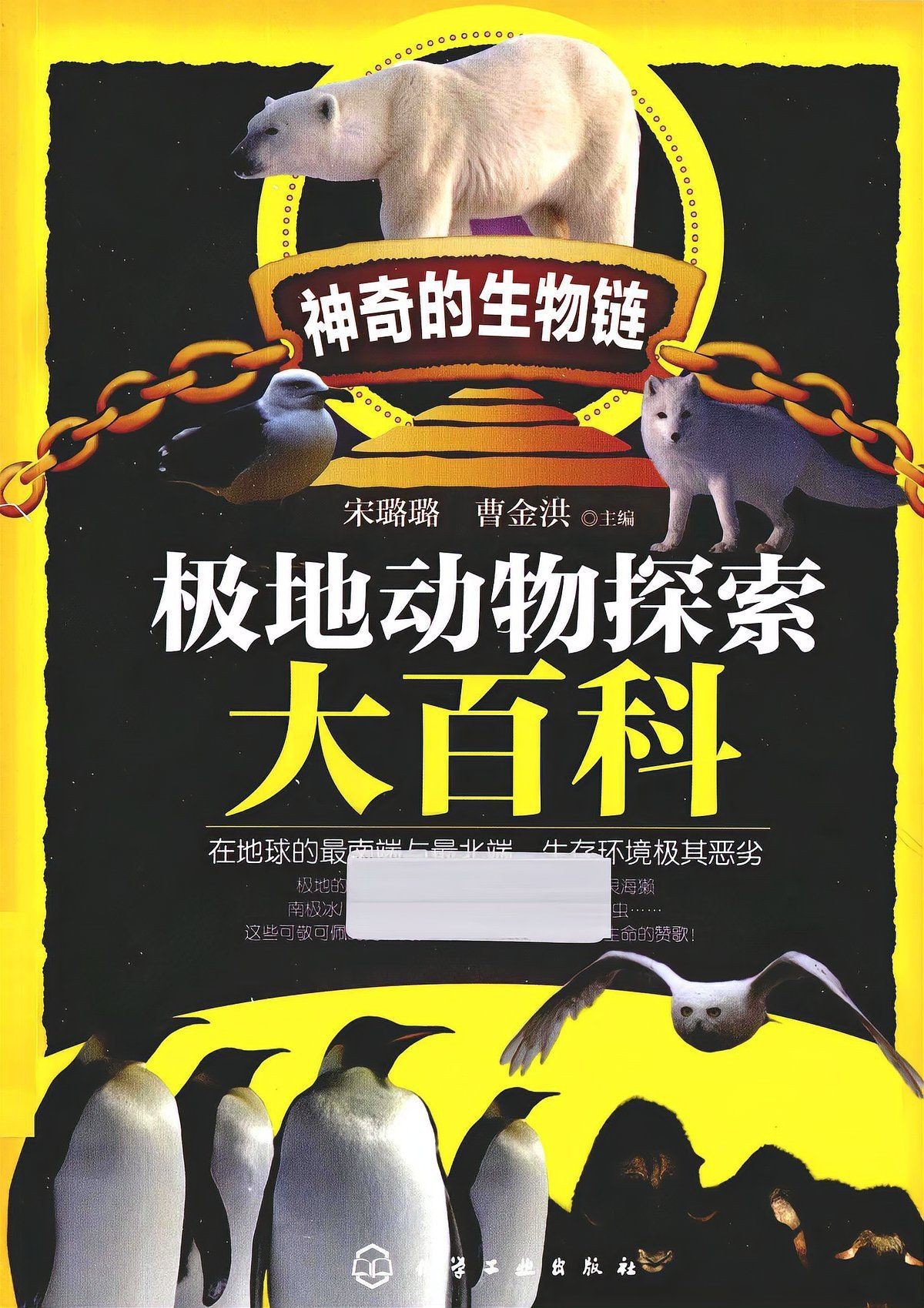 海象的簡(jiǎn)介，海中大象——海象