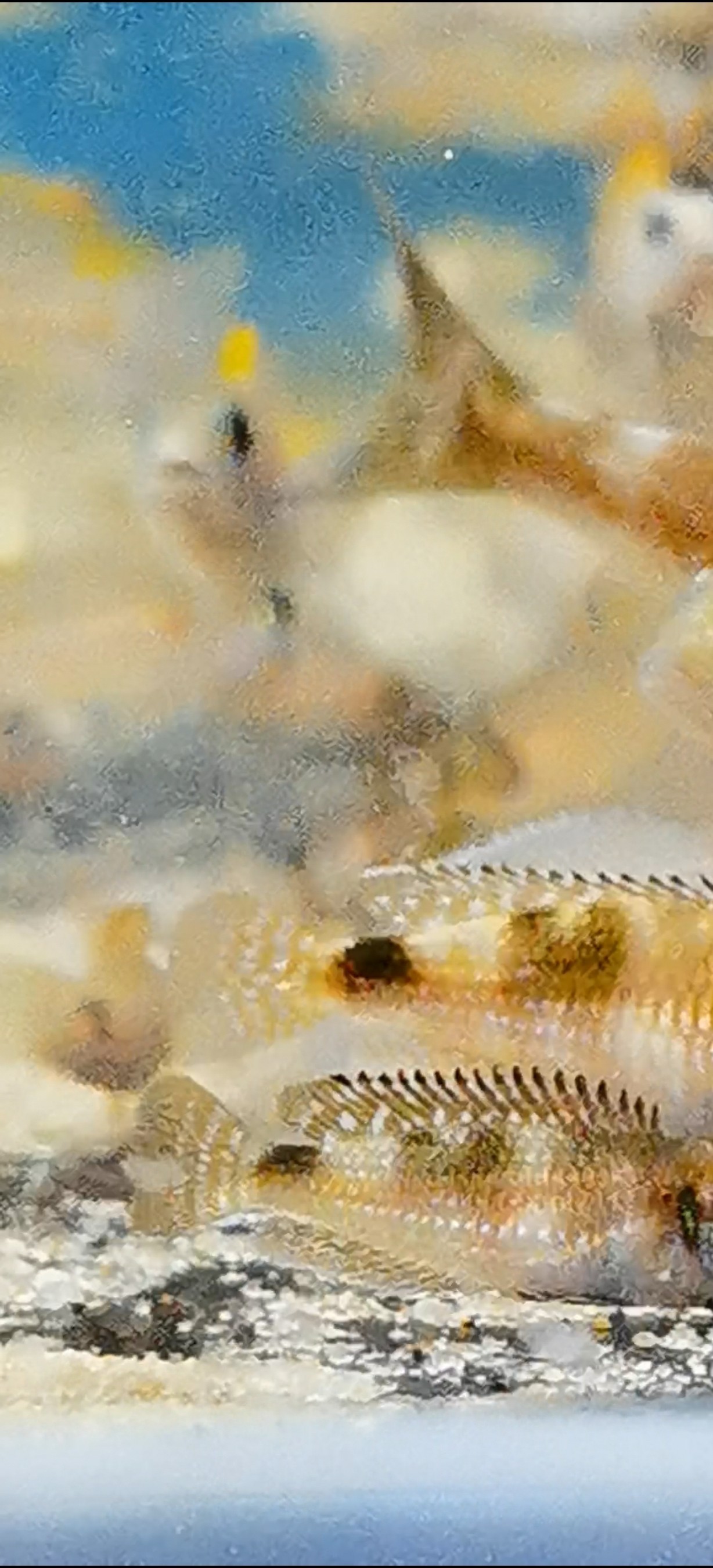 幼兒園干飯系列