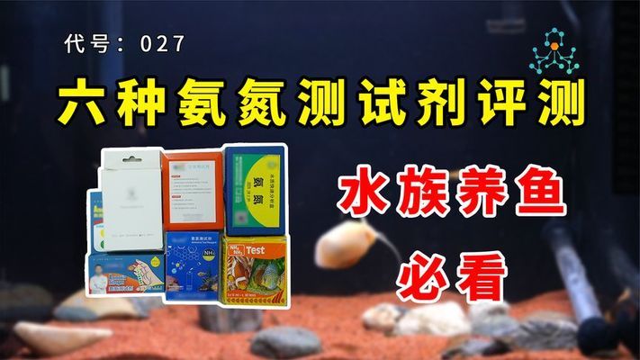福建虎魚(福建虎魚多少錢一斤) 虎魚百科 第1張 福建虎魚(福建虎魚多少錢一斤) 福建虎魚(福建虎魚多少錢一斤) 虎魚百科 第1張