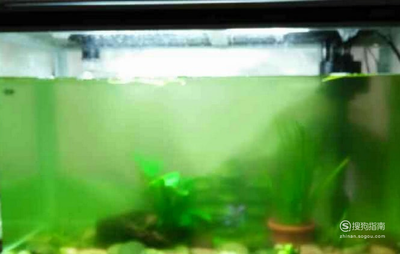 什么品牌的魚缸過濾效果好用(魚缸過濾什么牌子的好)