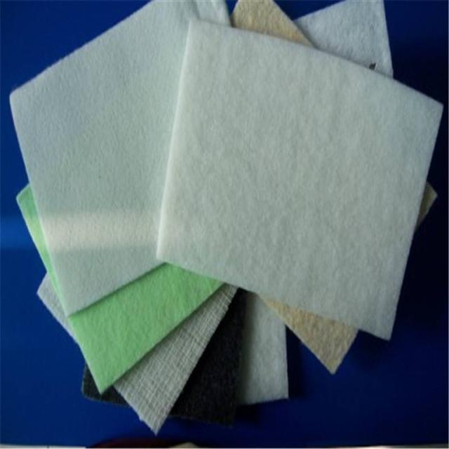 銀龍魚怎么養顏色好看圖片(銀龍魚什么顏色的好)