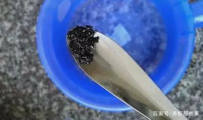 大型魚缸怎么開缸：大型魚缸開缸步驟