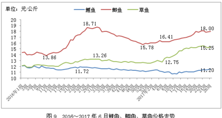 虎魚種類分別(虎魚種類分別是什么)
